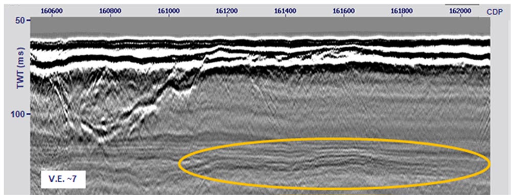 processing of near surface marine seismic reflection data jesley geo services